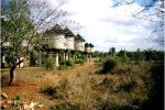 Grosse Kenia Safari 2002